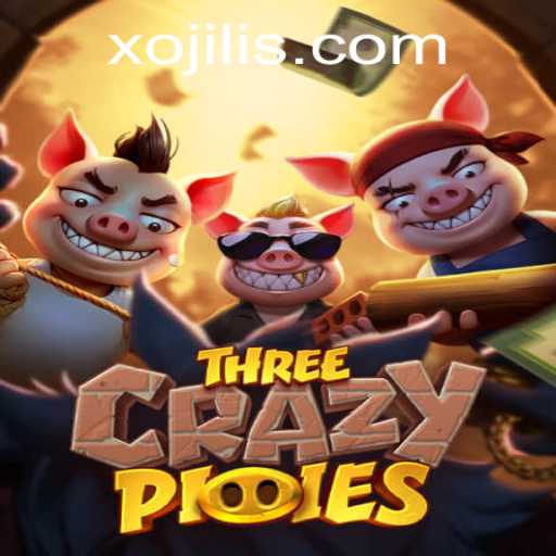 ThreeCrazyPiggies: The Innovative Game Connecting Players Globally with Xojili